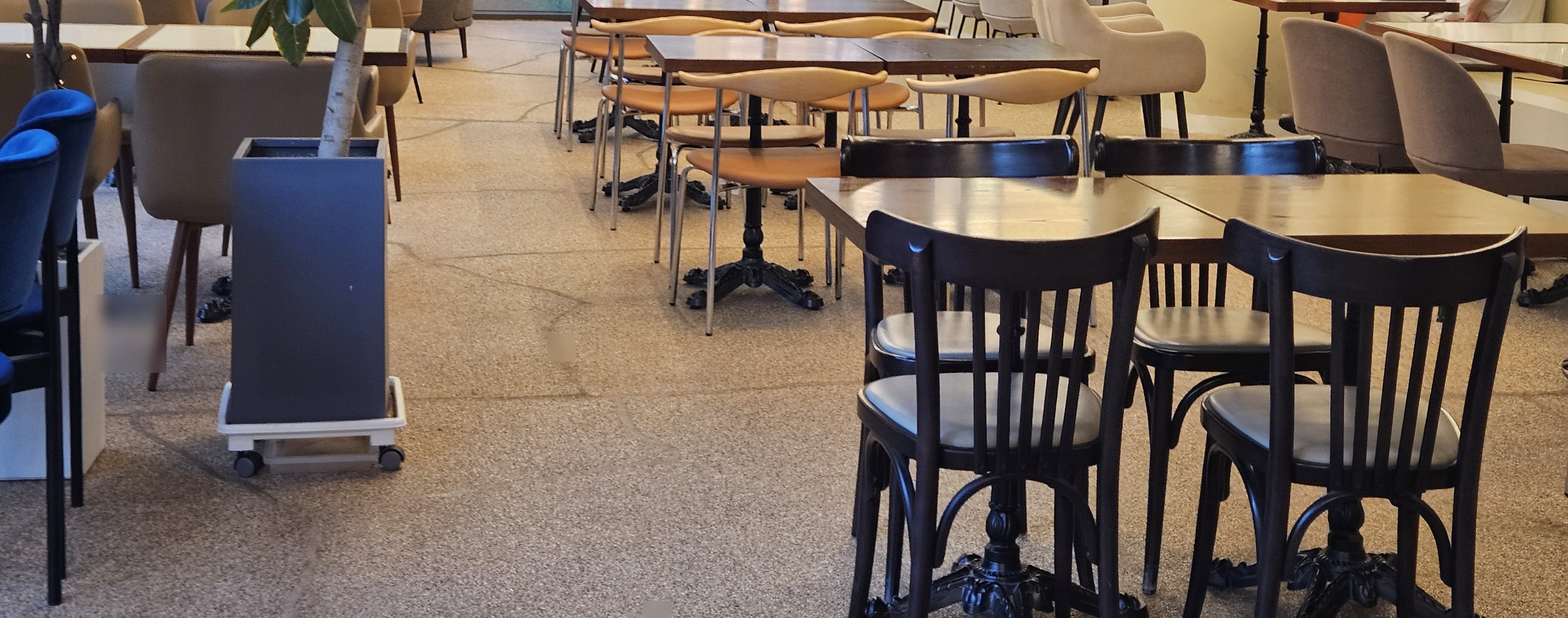 Solat Cafe Review: A Quiet and Cozy Spot in Dongtan