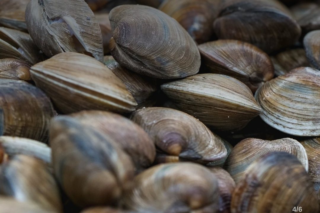 The Science Behind Seafood Spoilage