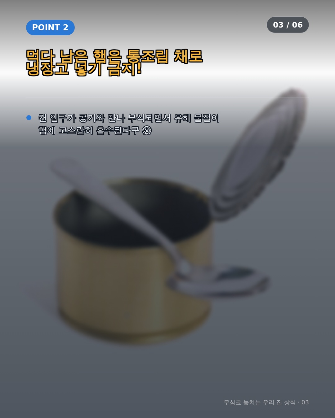 햄 보관의 올바른 세부 기준과 자가 진단 체크리스트