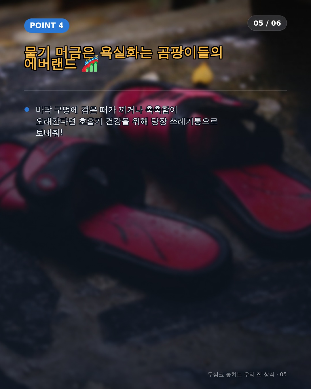 실내화 수명을 늘리고 위생을 지키는 올바른 관리 팁