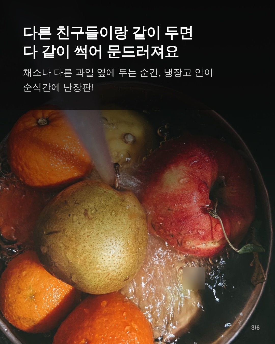 냉장고 식재료 동거 체크리스트