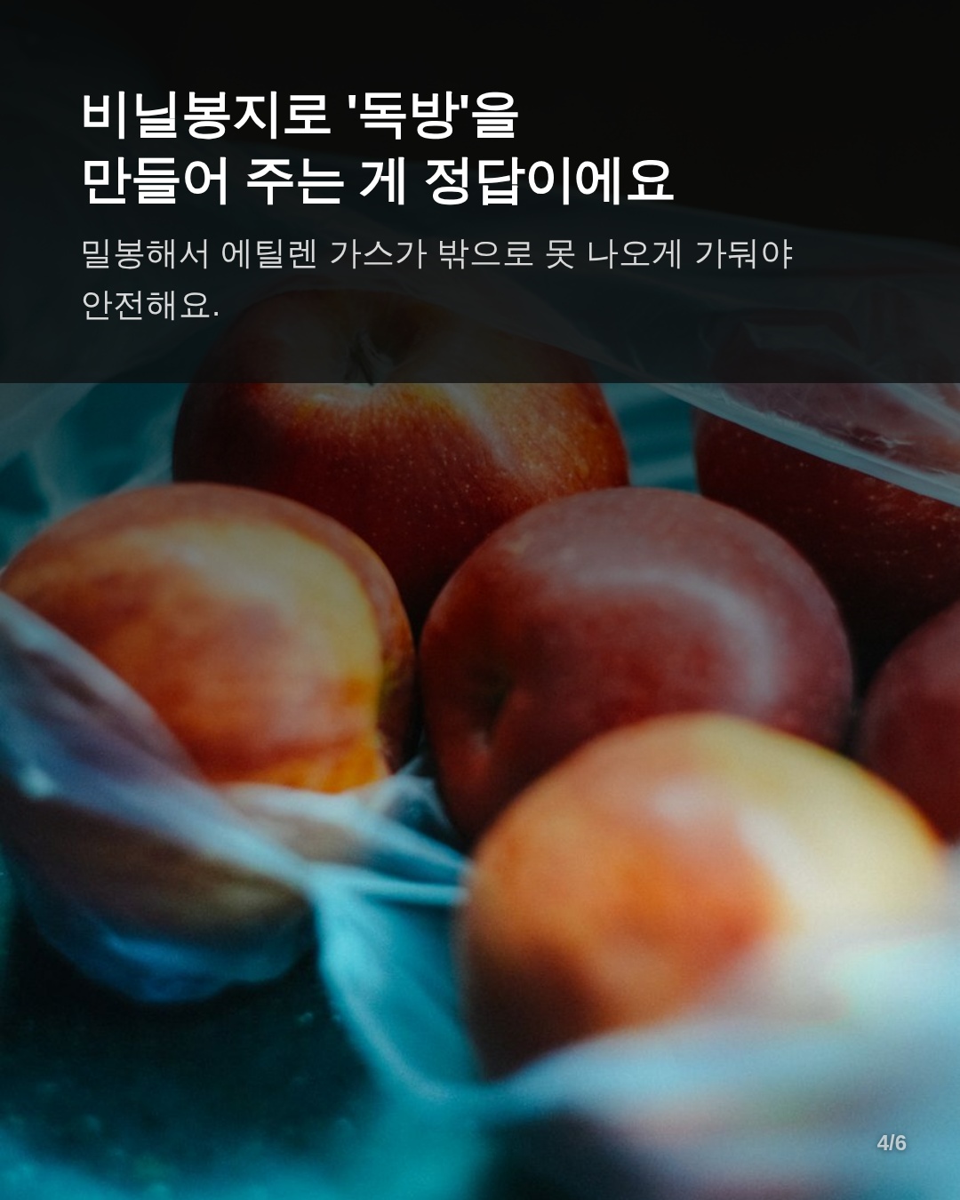 상황별 대응 전략: 격리가 답이다