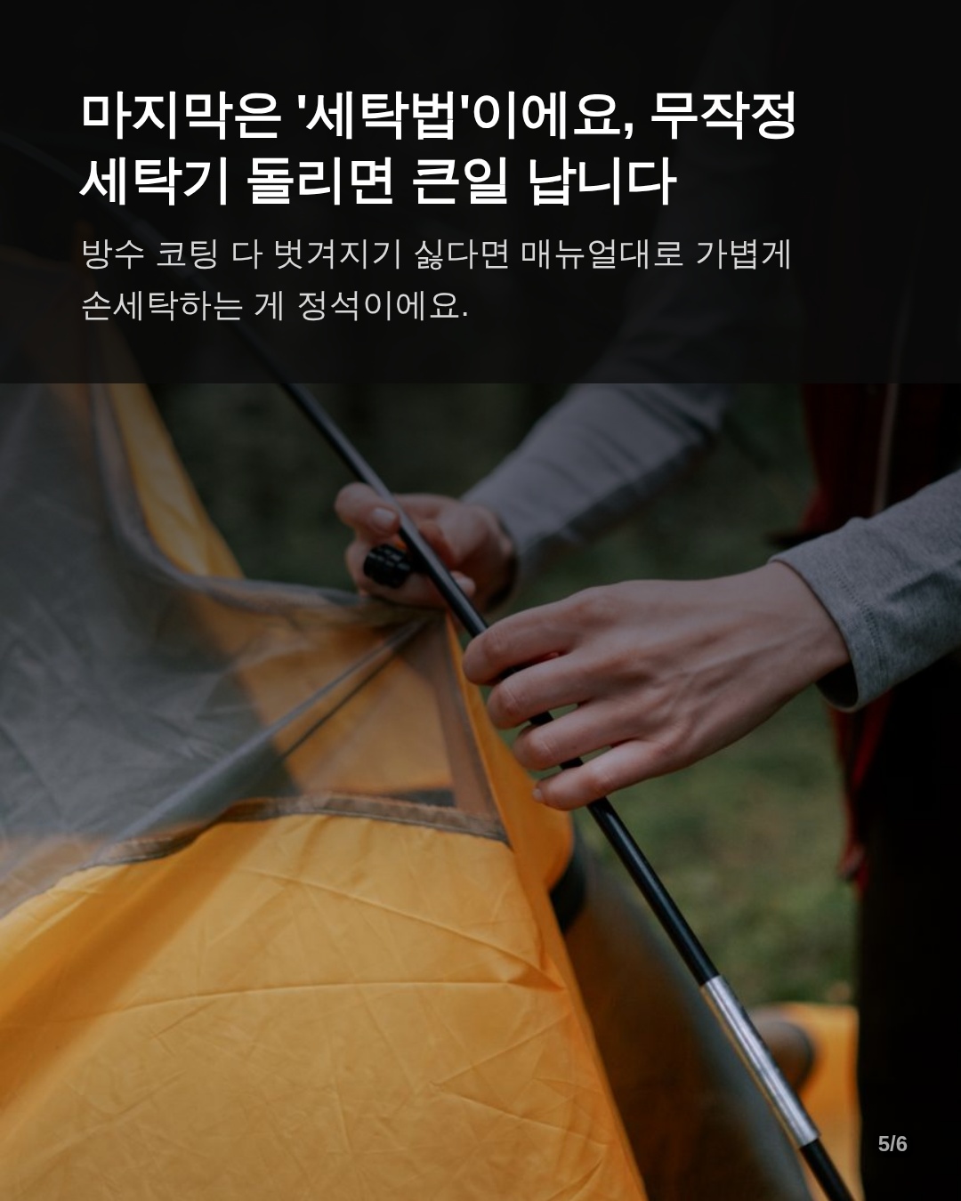 겨울을 나는 관리와 예방 팁