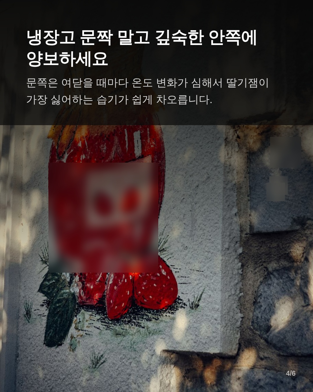 곰팡이 윗부분만 걷어내면 될까? 상황별 대처법