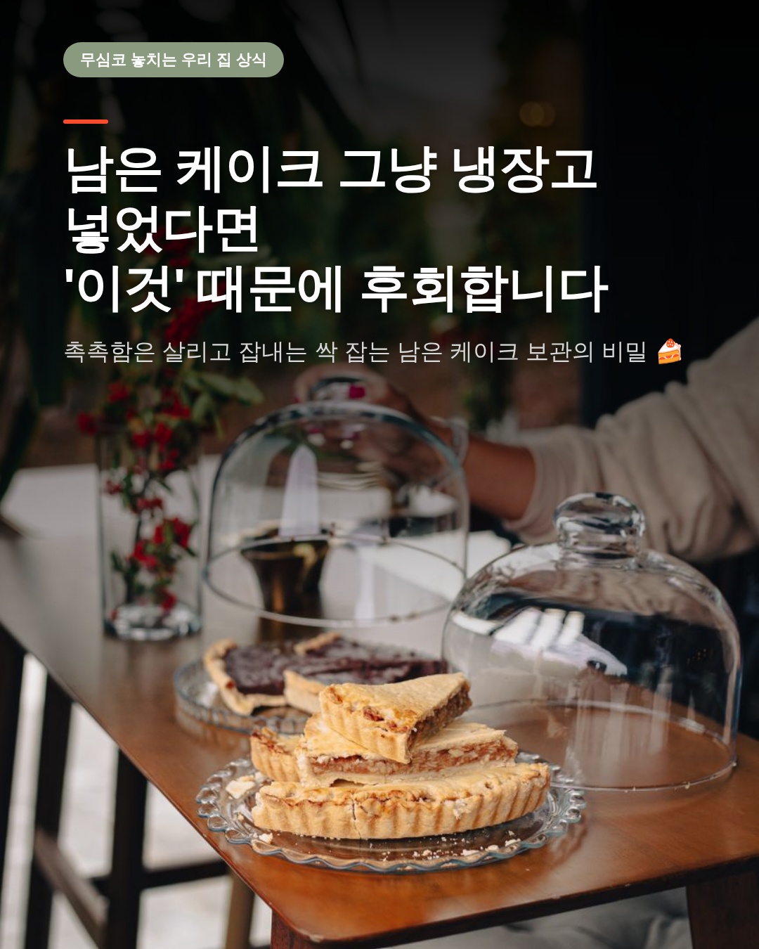 생일파티 남은케이크보관법 맛과 위생 모두 잡는 과학적인 밀폐 기술