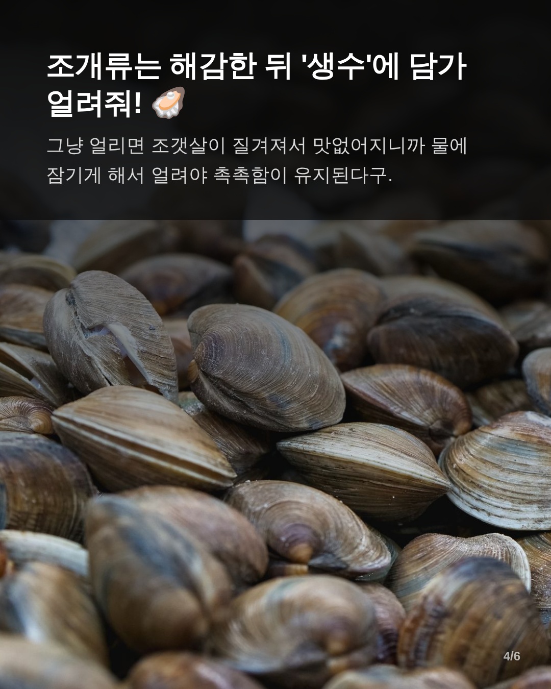 상황별 올바른 대응: 냉동 vs 냉장