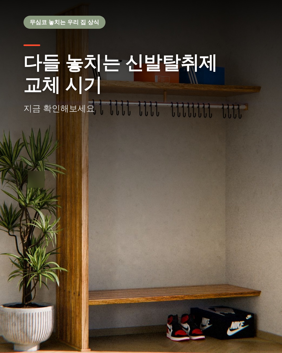 다들 놓치는 신발탈취제 교체 시기